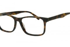 Bam 532 TORTOISE